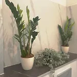 Apartamento New