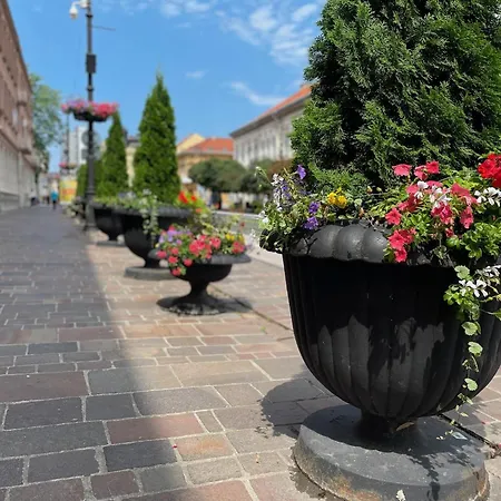 New Košice